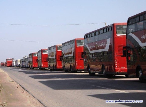 الإعلام الأمني: 8 وزارات وهيئات حكومية تشارك في التفويج العكسي للزائرين